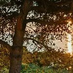 Bed and breakfast Albeca Boutique - Relais De Charme Sul Mare Castellabate