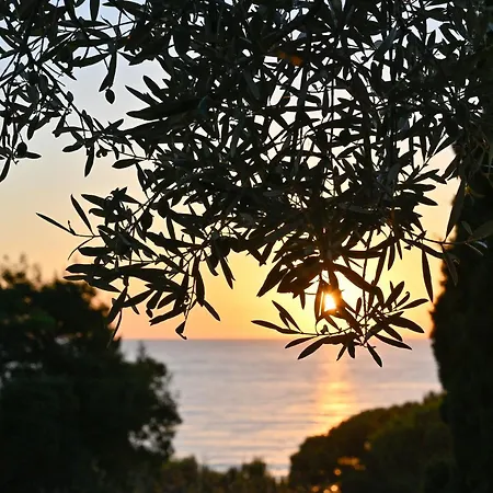 Albeca Boutique - Relais De Charme Sul Mare Nocleg ze śniadaniem