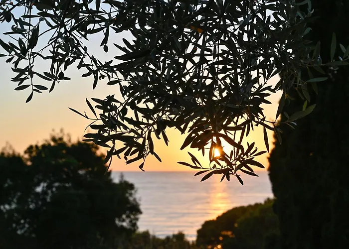 Albeca Boutique - Relais De Charme Sul Mare Bed and breakfast