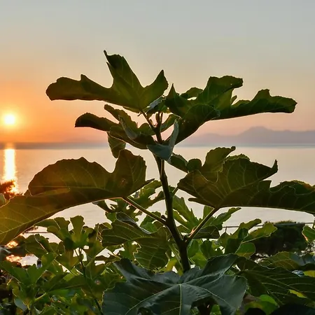 Bed & Breakfast Albeca Boutique - Relais De Charme Sul Mare 3*