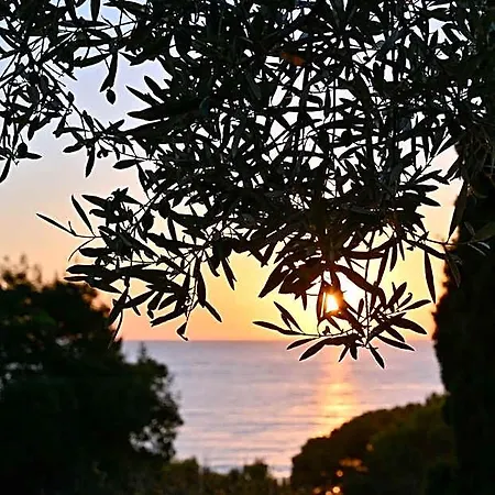 فندق مبيت وإفطار Albeca Boutique - Relais De Charme Sul Mare كاستيلاباتي